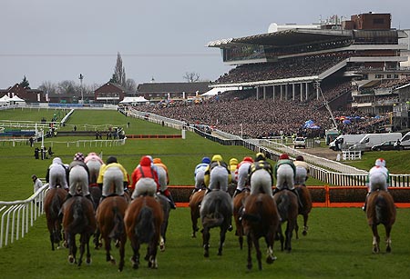 Cheltenham festival