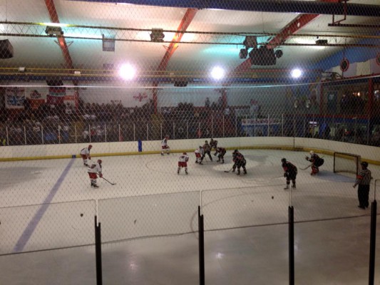 Dynamos v Wightlink cup pic