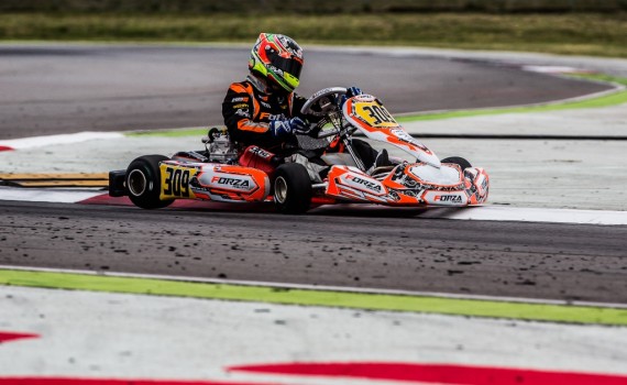 Kiern Jewiss - Adria - Wafeproject