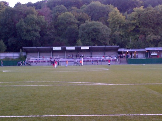 Tandridge-20140722-00324